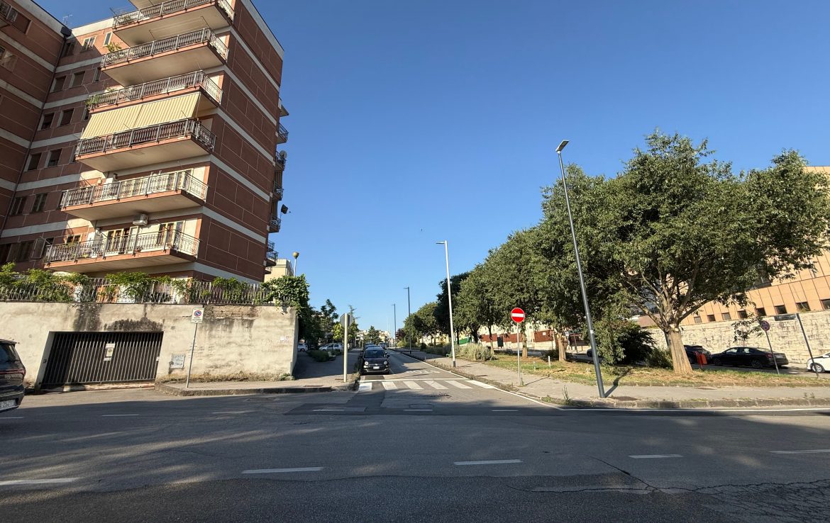 IMG_2633