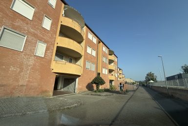 IMG_2778