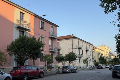 IMG_0806 (1)